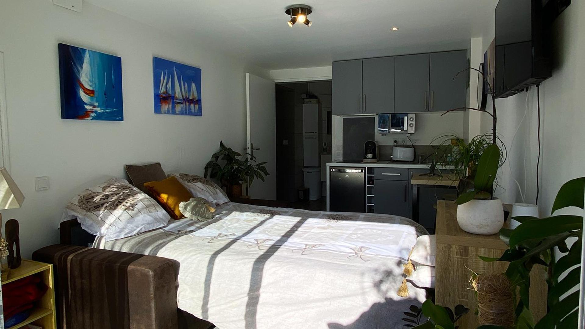 Studio Clair, Climatise Avec Jardin Et Parking แปร์ปินญอง ภายนอก รูปภาพ
